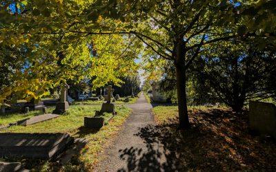 5 cimetières abandonnés incontournables en Belgique