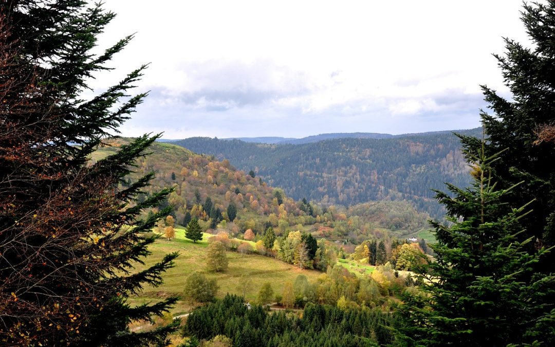 10 sites d&rsquo;urbex incontournables dans les Vosges