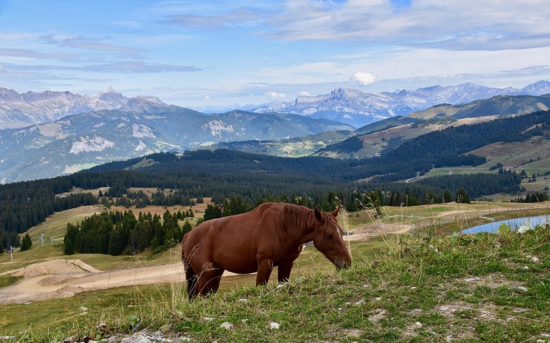5 sites d&rsquo;urbex incontournables en Haute-Savoie