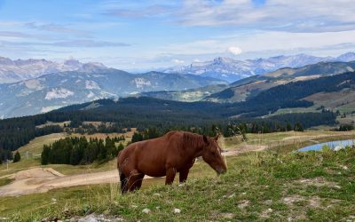 5 sites d’urbex incontournables en Haute-Savoie